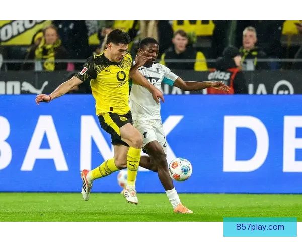 多特蒙德奋力拼搏德甲赛季收官获亚军荣耀